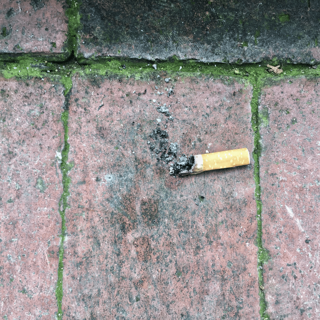 tchaomegot article littering